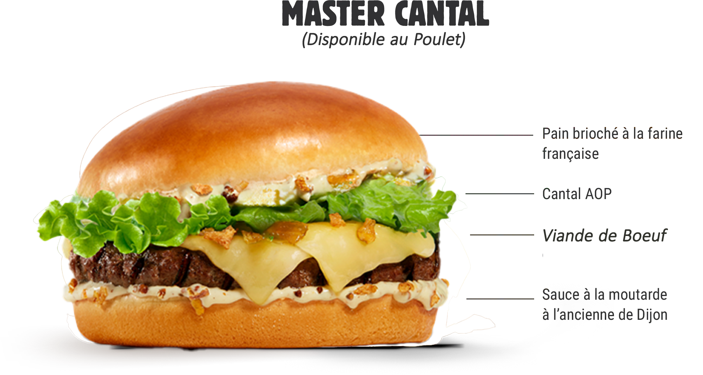 Image du Master Cantal 1